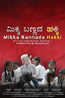 BD国语全集免费观看