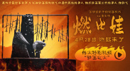 1080P高清完整版播放