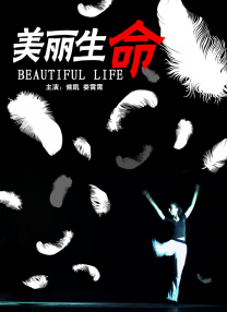 完结高清影视