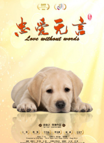 完结高清影视